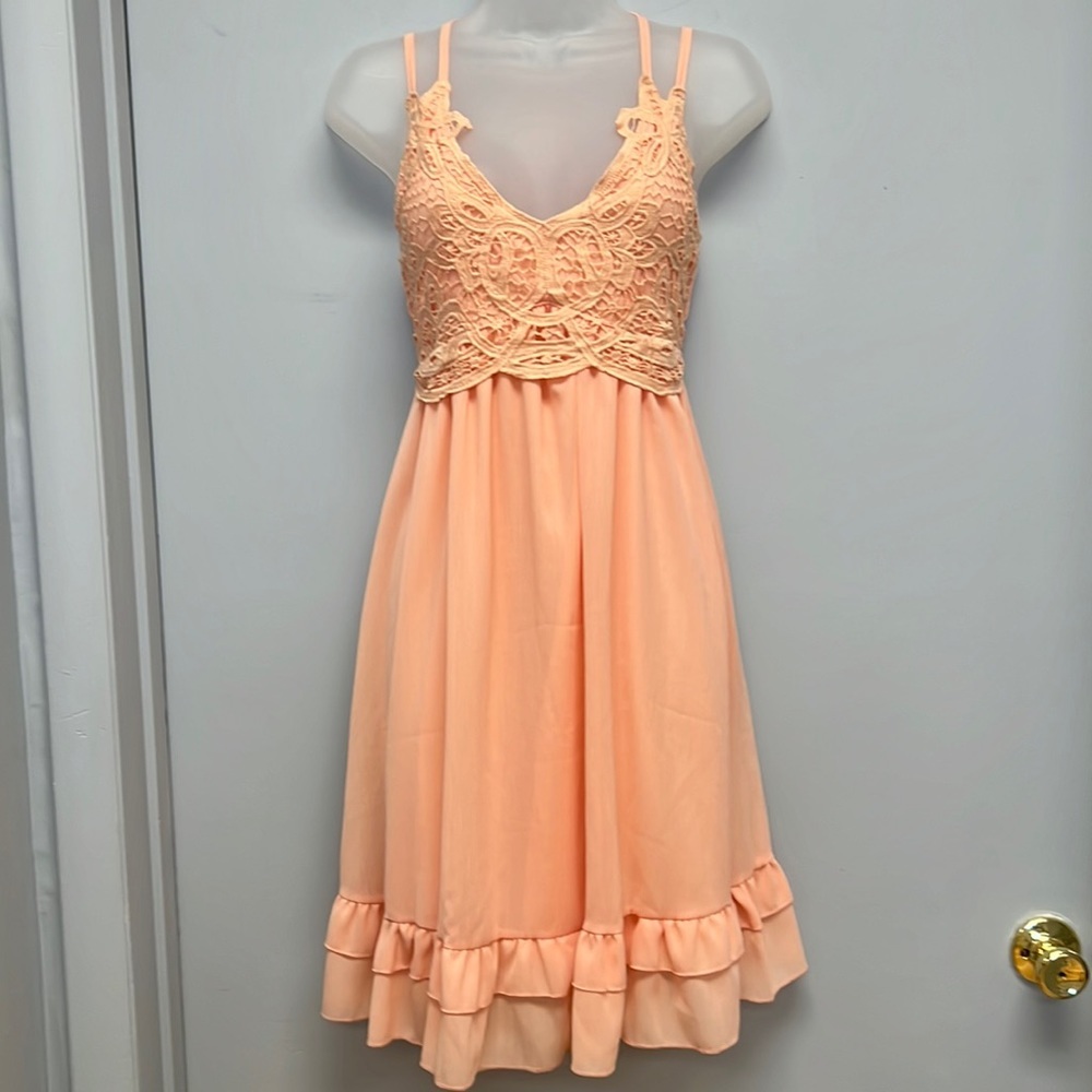 NWT Feager Lace Bodice Dress (Peach)